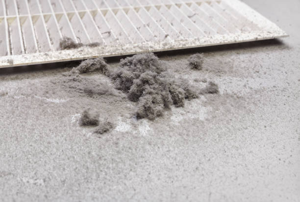 Air Duct Mold Removal in Glenn Dale, MD