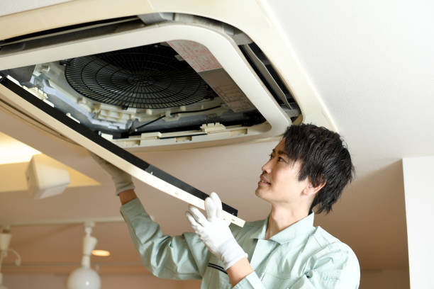 Best Air Duct Mold Removal  in Glenn Dale, MD