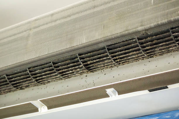 Best Duct Cleaning for Offices  in Glenn Dale, MD